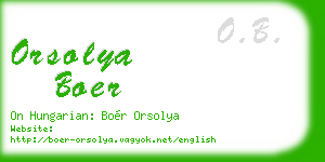 orsolya boer business card